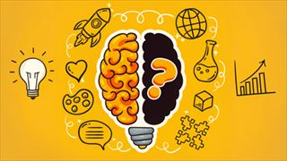 【Brain Crazy】Thumbnail Image