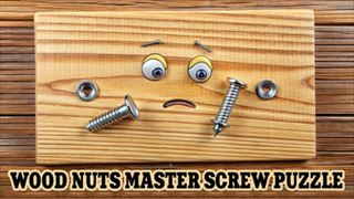 【Wood Nuts Master: Screw Puzzle】Thumbnail Image