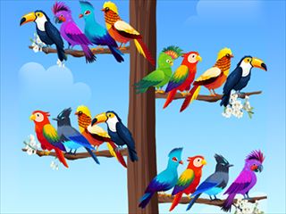 【Bird Sort Puzzles】Thumbnail Image