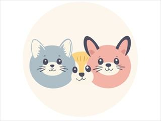【CRAZY ANIMALS】Thumbnail Image
