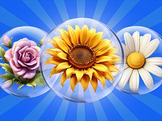 【Dice Puzzle Flowers!】Thumbnail Image