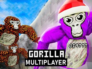 【Gorilla Multiplayer】Thumbnail Image