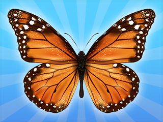 【MergeButerfly: 2048!】Thumbnail Image