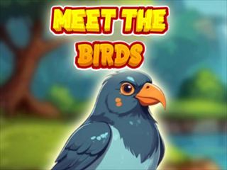 【Meet The Birds】Thumbnail Image