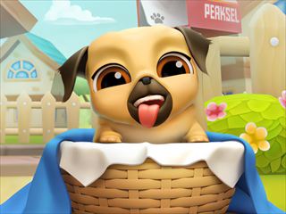 【My Cute Puppy Grooming 3D】Thumbnail Image