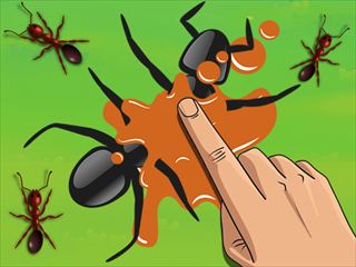 【Smash the Ant】Thumbnail Image