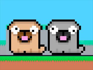 【Friends Pug】Thumbnail Image
