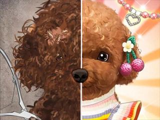 【Pet Makeup Master】Thumbnail Image