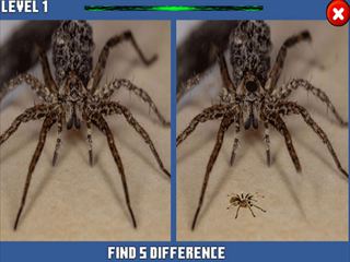 【Spider Hidden Difference】Thumbnail Image