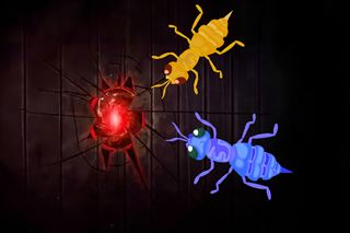【Ants】Thumbnail Image
