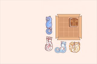 【Cat Block Puzzle】Thumbnail Image