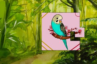 【Cute Budgie Puzzle】Thumbnail Image