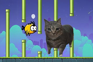 【Flappy Bird Spinning oia oia Cat】Thumbnail Image