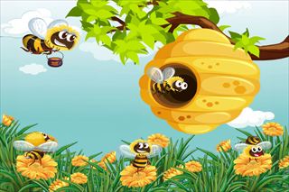 【Honey Collector Bee】Thumbnail Image