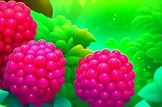 【Sweet Raspberry】Thumbnail Image
