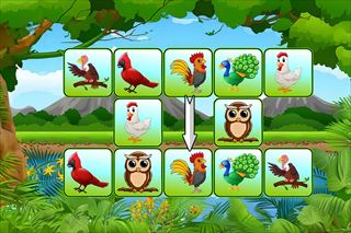 【Birds Link】Thumbnail Image