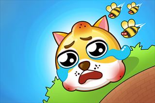 【Save The Dog】Thumbnail Image