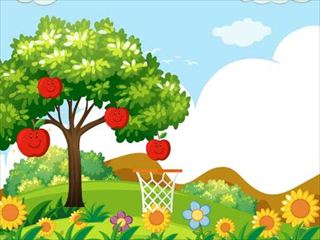 【Hoops & Fruits】Thumbnail Image
