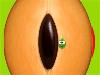 【SapotaGo】Thumbnail Image