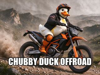 【Chubby Duck Offroad】Free Player Games
